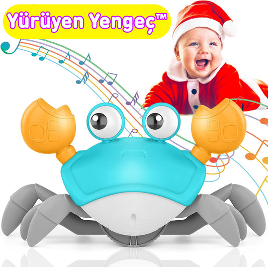 Yürüyen Yengeç 🦀